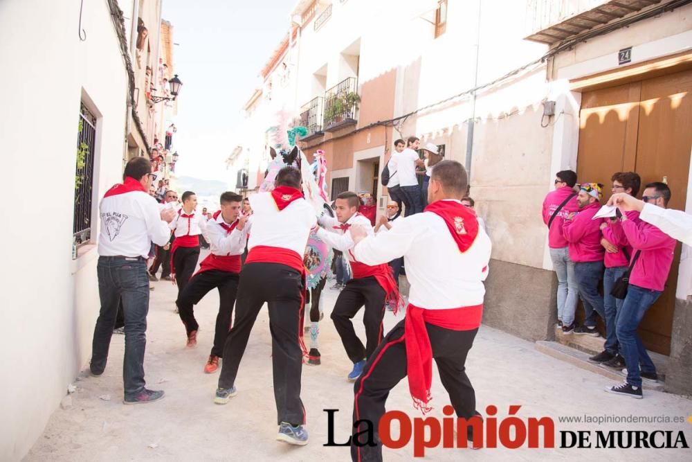 Día dos de mayo en Caravaca (Desfile Caballos y Ba