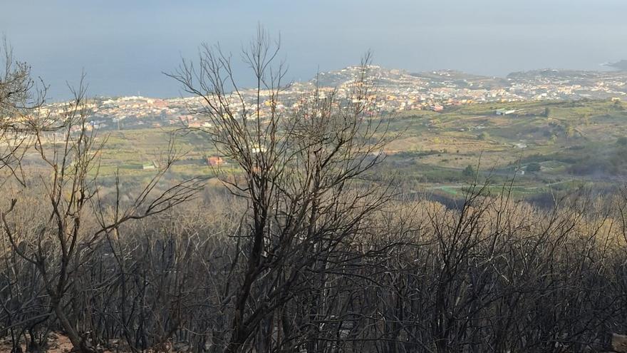 El fuego continuó su evolución durante la noche