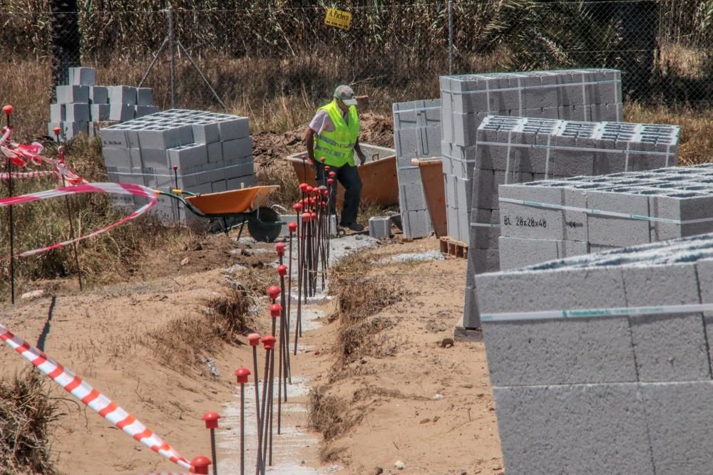 Un muro cierra el palmeral de Ferrís en Torrevieja