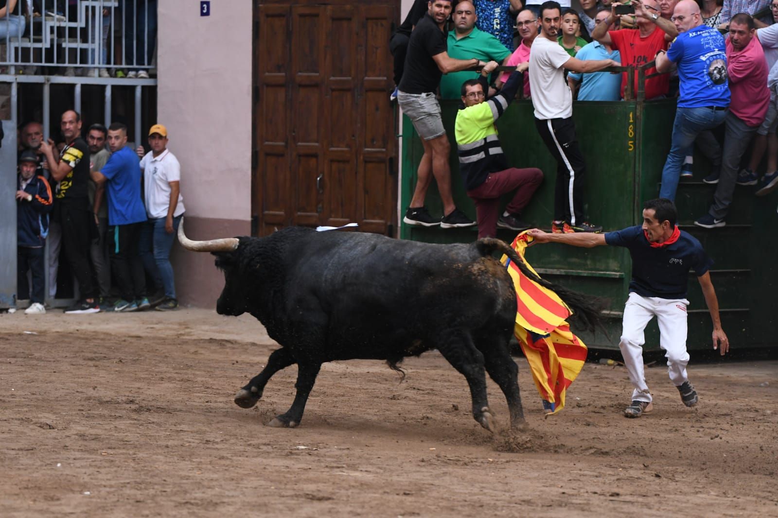 Exhibición de cuatro toros de Partida Resina en Onda