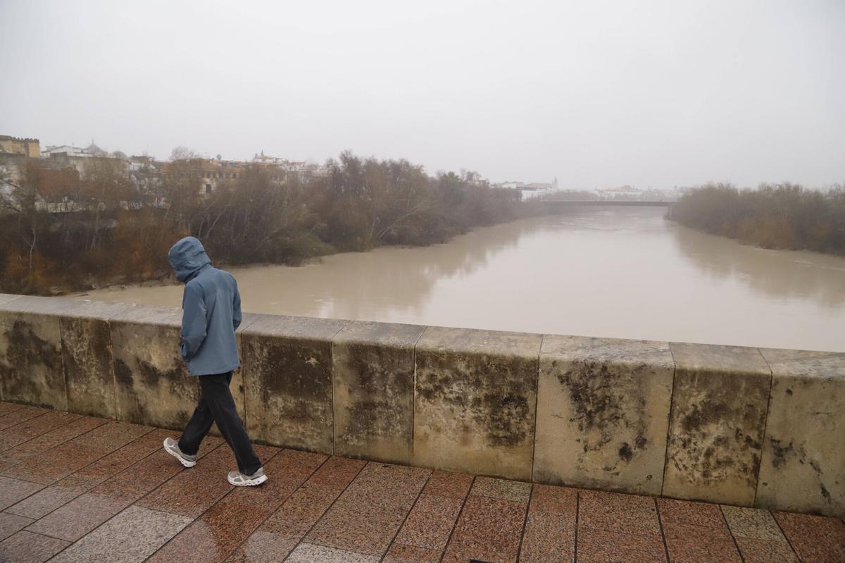 A.J.González Córdoba Lluvia Cauce del río Guadalquivir
