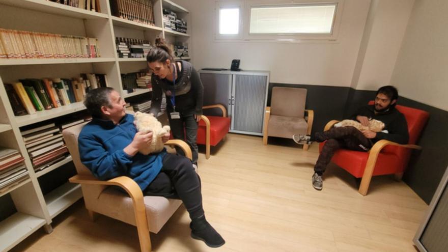 Las mascotas virtuales como incentivo a la autonomía de personas con discapacidad, en Toro