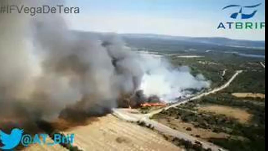 Incendio en Vega de Tera (Benavente)