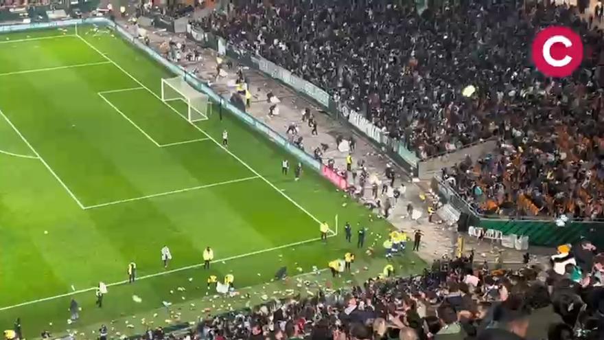 Vídeo | Lluvia de peluches en La Cartuja