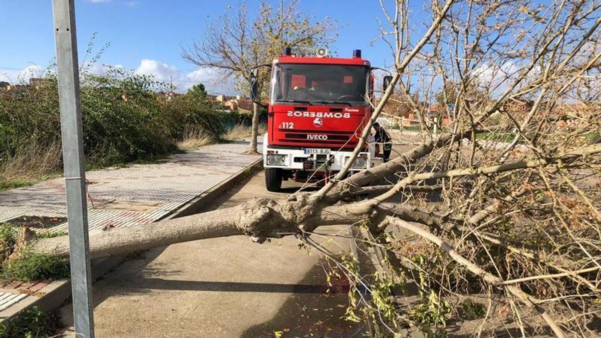 Bomberos Benavente en una de sus intervenciones. / E. P.