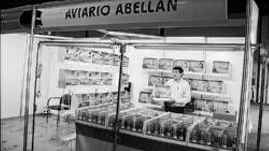 Aviario Abellán exhibe la belleza de sus aves