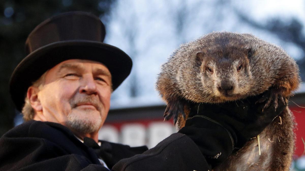 Phil la marmota pronostica una primavera adelantada