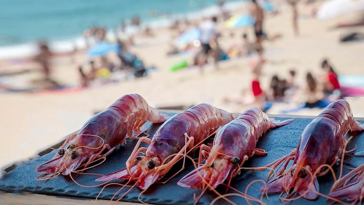 La Donzella, multiespacio a pie de playa en Badalona.