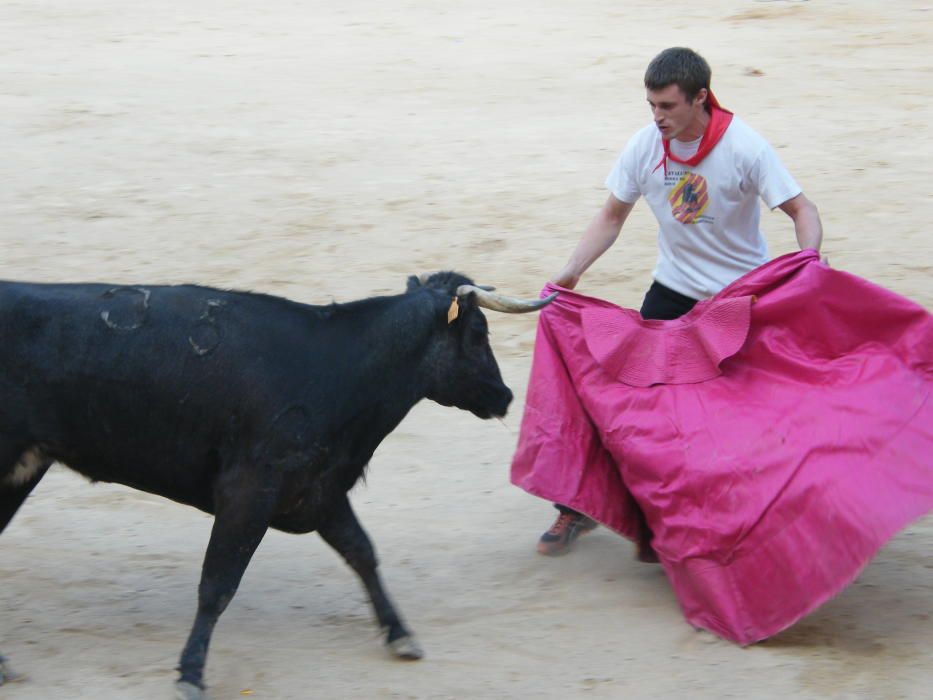 Corre de bou de Cardona (dilluns 12 de setembre)