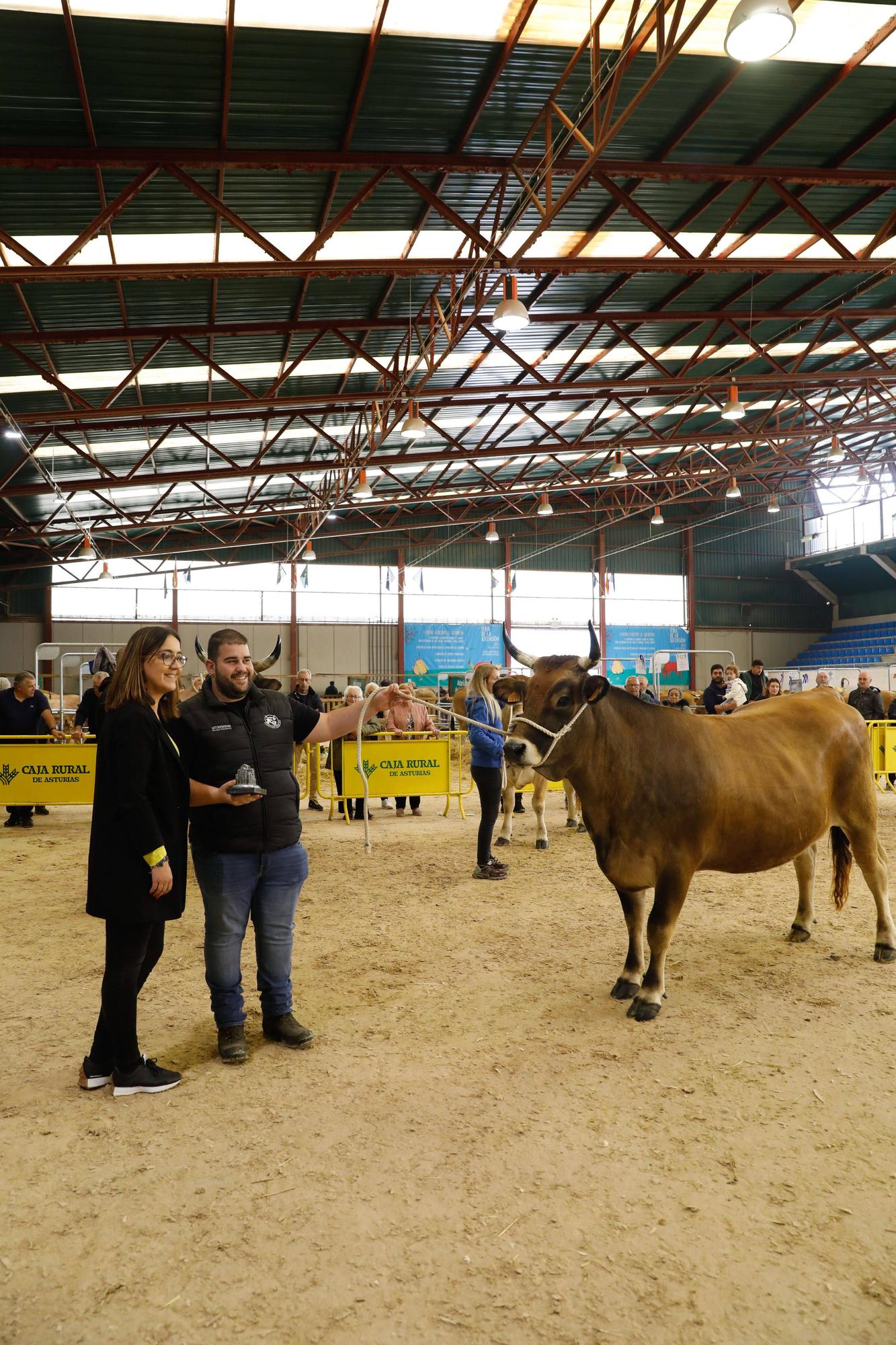 El gran cierre de La Ascensión: así fue la última jornada festiva en la feria del campo en Oviedo