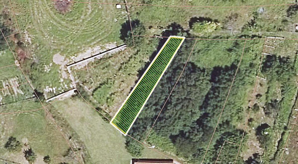 Tan solo Bueu, en la comarca, figura con tres fincas para arrendar en el Banco de Tierras