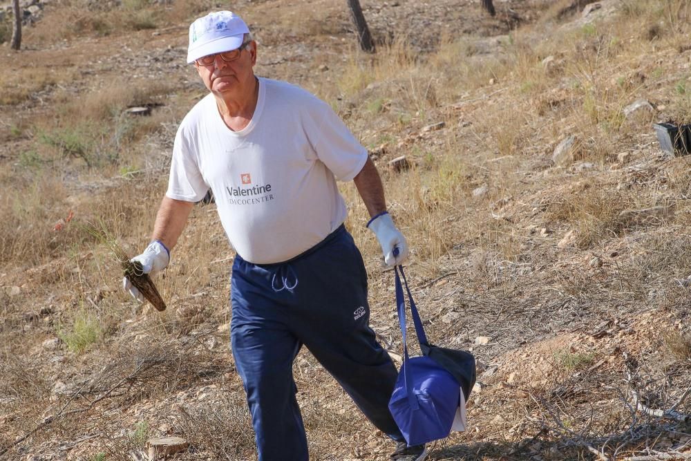 La Tercera Edad participa en la plantación de un centenar de árboles