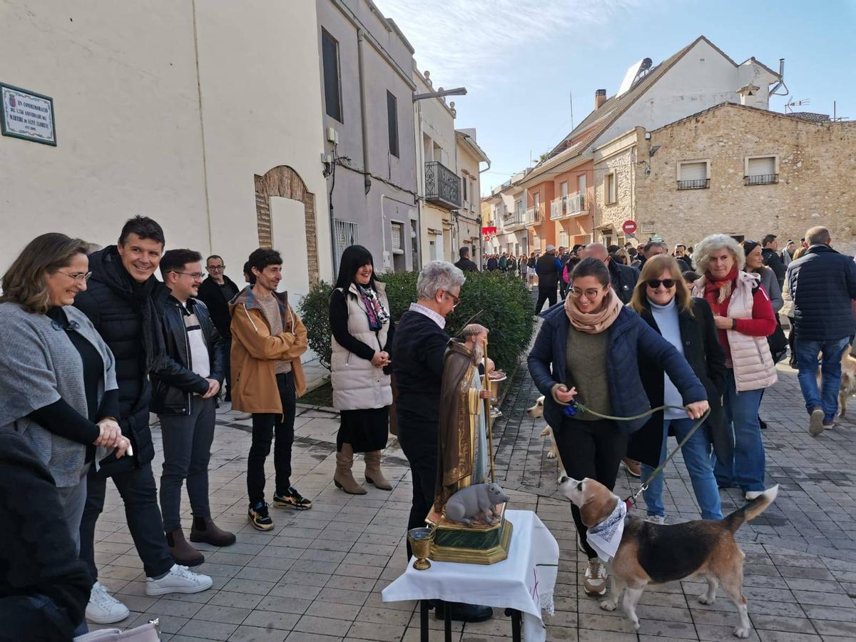 La bendición de animales de 2025 en Benirredrà