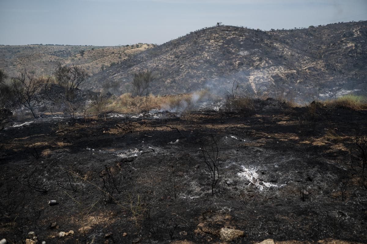 Fotogalería | Así ha sido el incendio forestal en Garrovillas de Alconetar