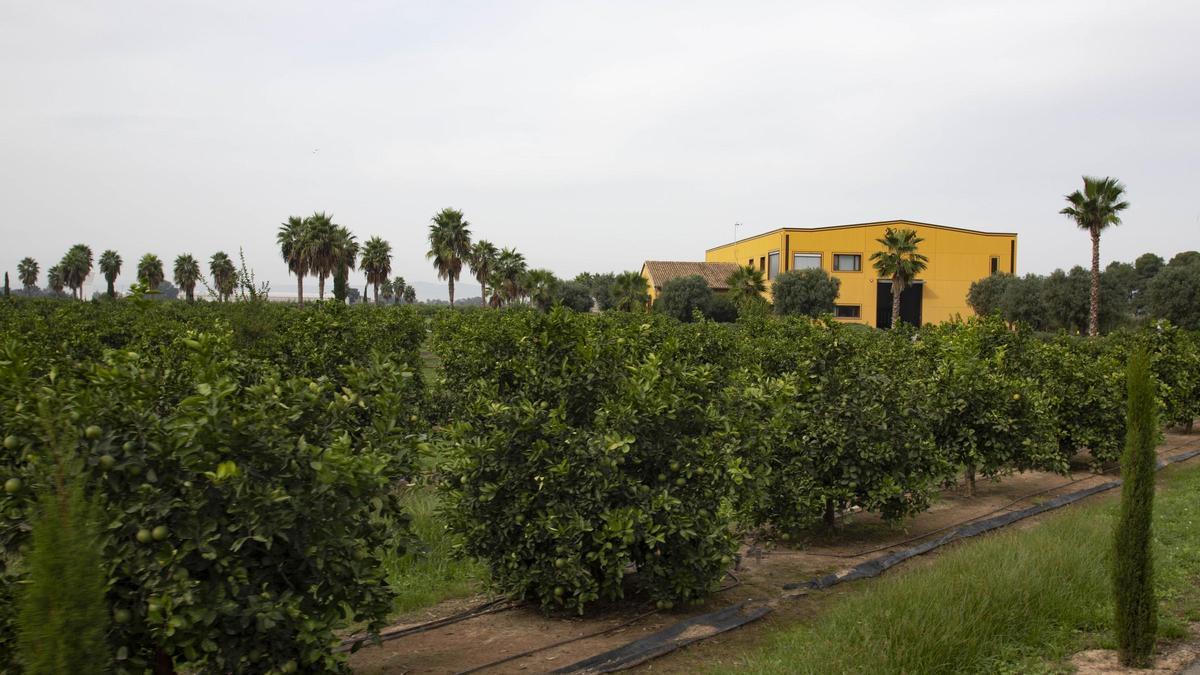 La finca de Sinyent, en una imagen de archivo.
