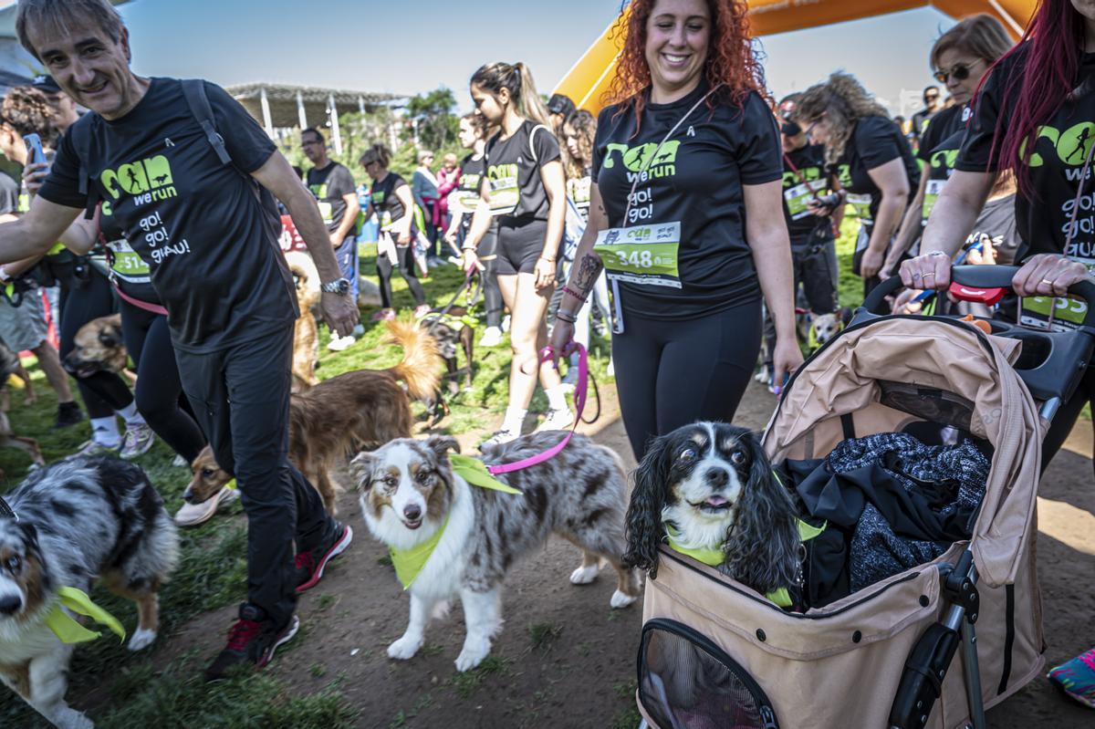 CAN WE RUN BARCELONA. La carrera organizada por Prensa Ibérica y El Periódico de Catalunya con la colaboración de Sport ,  donde las personas y sus mascotas perrunas corren en familia