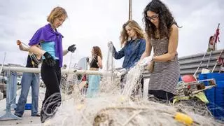 Un proyecto denuncia en la Barceloneta el declive de las sardinas, los pescadores y los vecinos del barrio