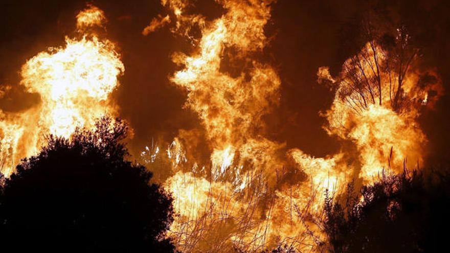 Imagen del incendio originado en, en el paraje Cerro Alaminos, dentro del municipio de Coín.