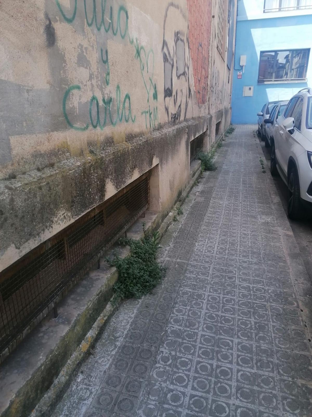 Pintades i plantes a l'espai públic