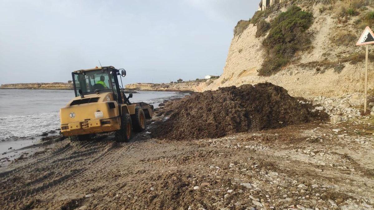 Trabajos de limpieza de la cala