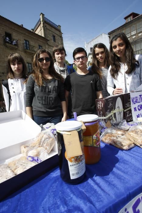 Mercado de cooperativas y asociaciones en Avilés