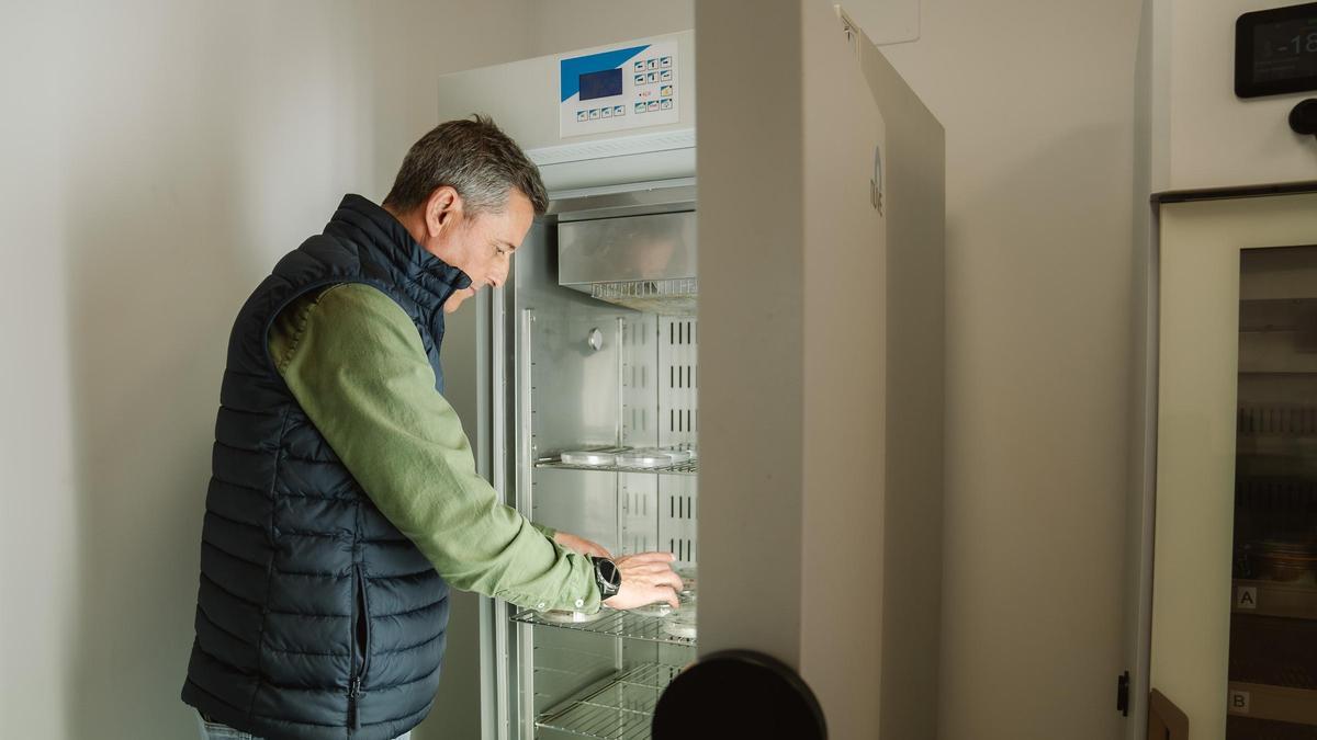 Francisco Molina, jefe de Área de Investigación Forestal en el Banco de Germoplasma Forestal de la Comunidad de Madrid.