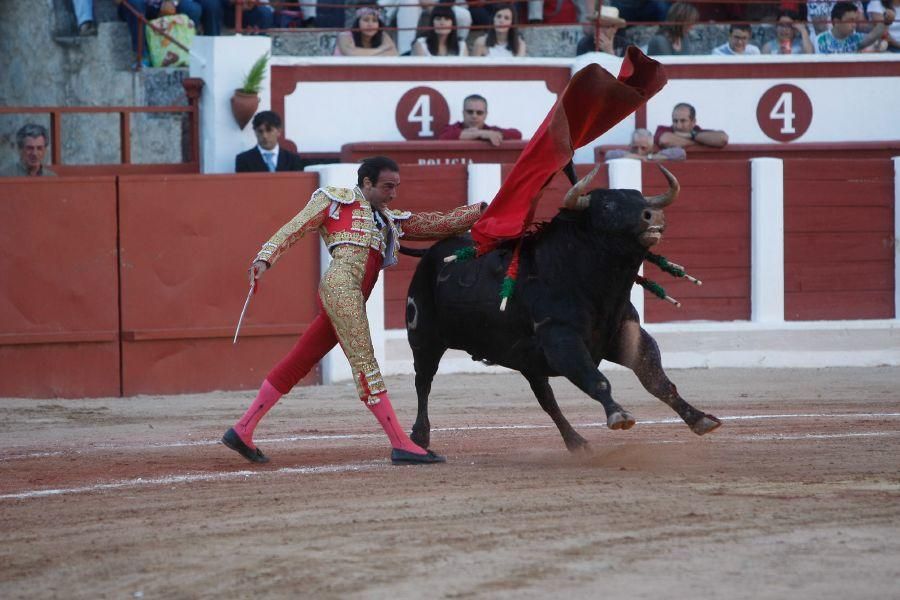 Toros en Zamora