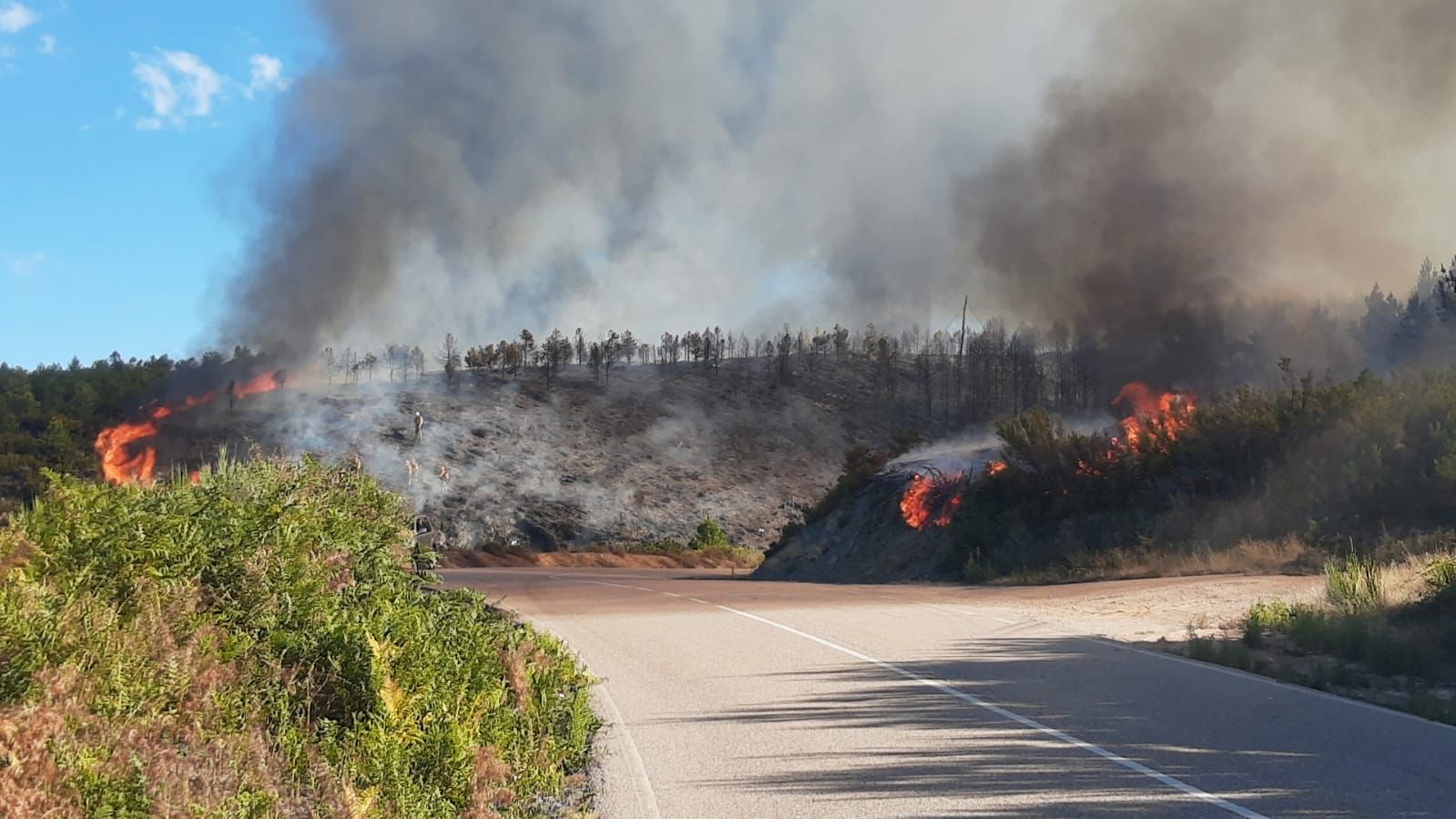 GALERÍA | El incendio en Pedralba de la Pradería, en imágenes