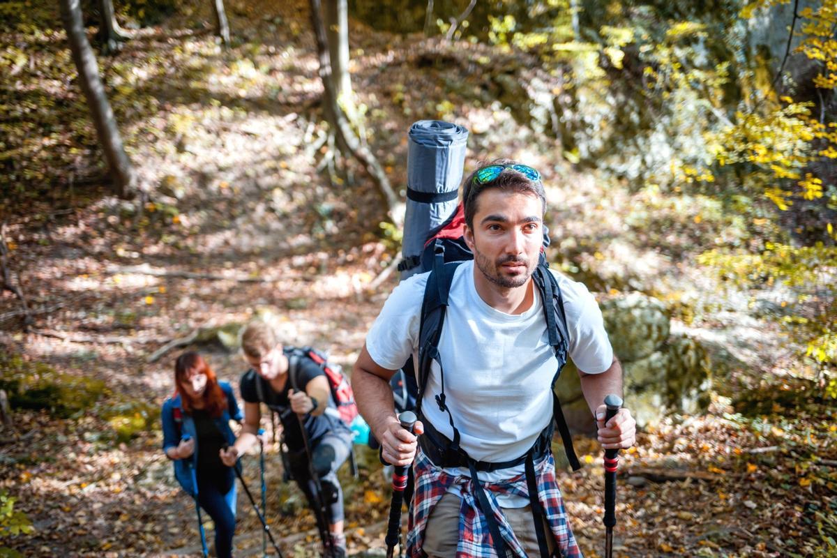 La digitalización está siendo una fuerza transformadora para el turismo rural.