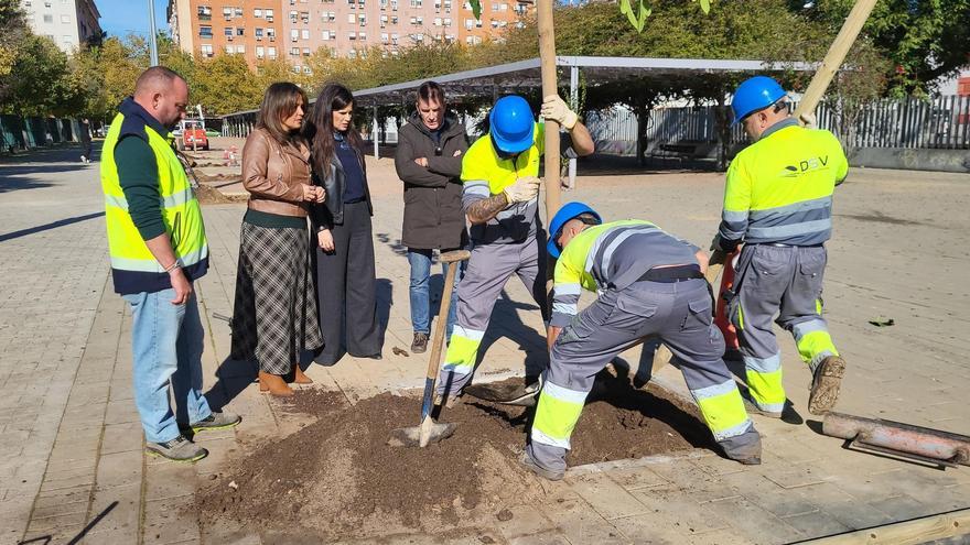 Sevilla activa su plan de arbolado con más de 6.500 nuevas plantaciones