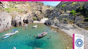 lainz34741333 160718203059