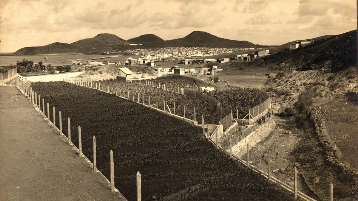 Barranco de La Ballena en la década de 1930 en lo que hoy sería la autovía GC-23.