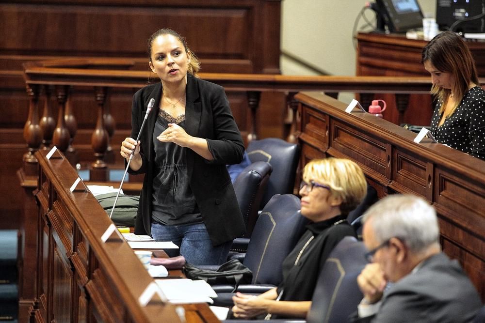 Pleno en el Parlamento de Canarias