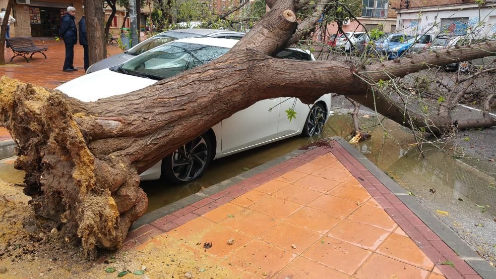 El temporal de lluvia causa estragos en Murcia