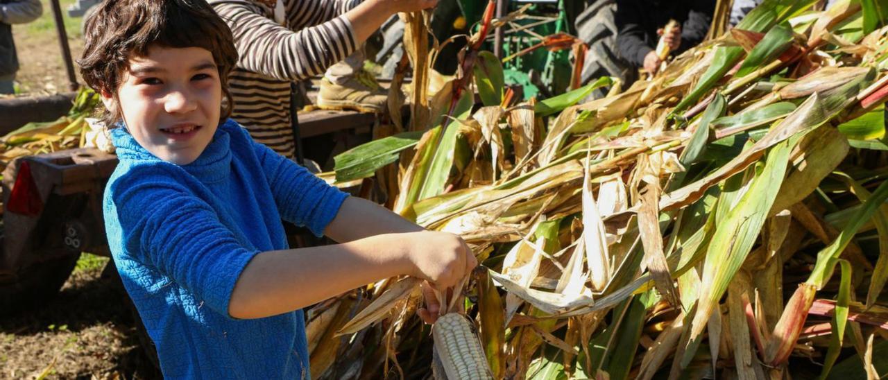 Un niño disfruta en la Festa da Recolleita e Esfollada do Millo, el domingo en Corzáns.   | // ANXO GUTIÉRREZ