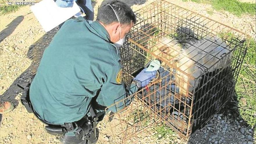 La colaboración ciudadana pone en alerta ante el maltrato animal