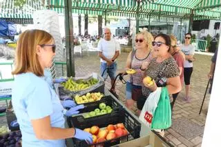 La ruta del caimán: "Ver Córdoba desde una piragua te da otra perspectiva de la ciudad"