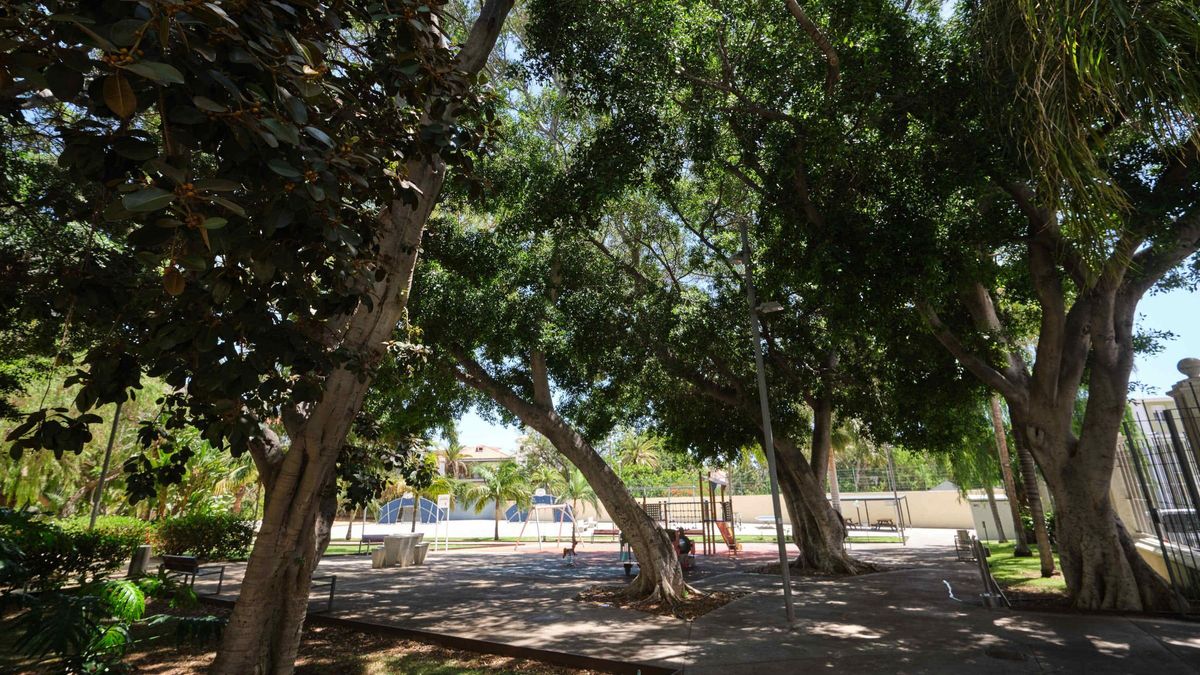 Parque Secundino Delgado, en el barrio de Salamanca.