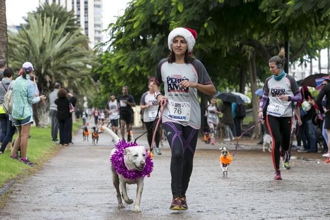 PRIMERA CARRERA SOLIDARIA PERRO-AMO