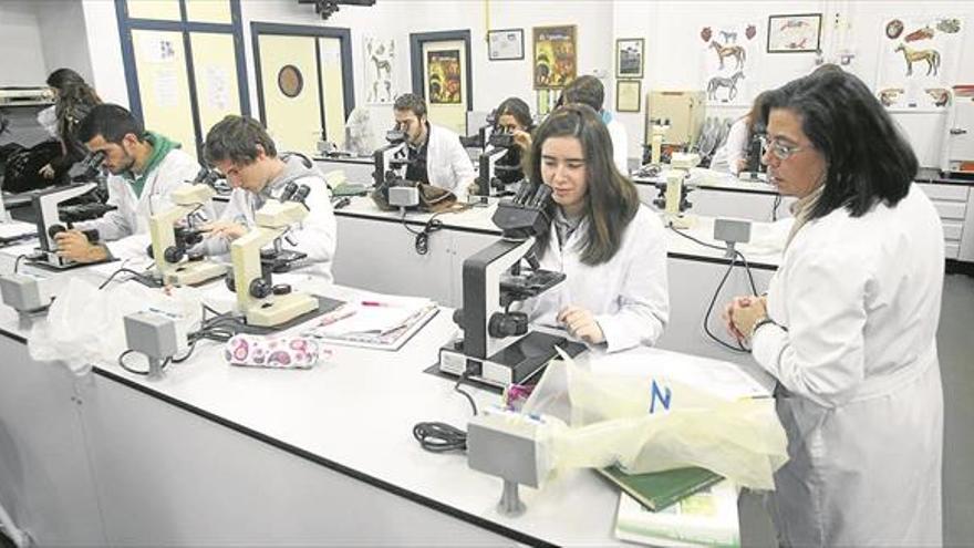 La UCO acoge el 10º encuentro de Unidades de Igualdad universitarias