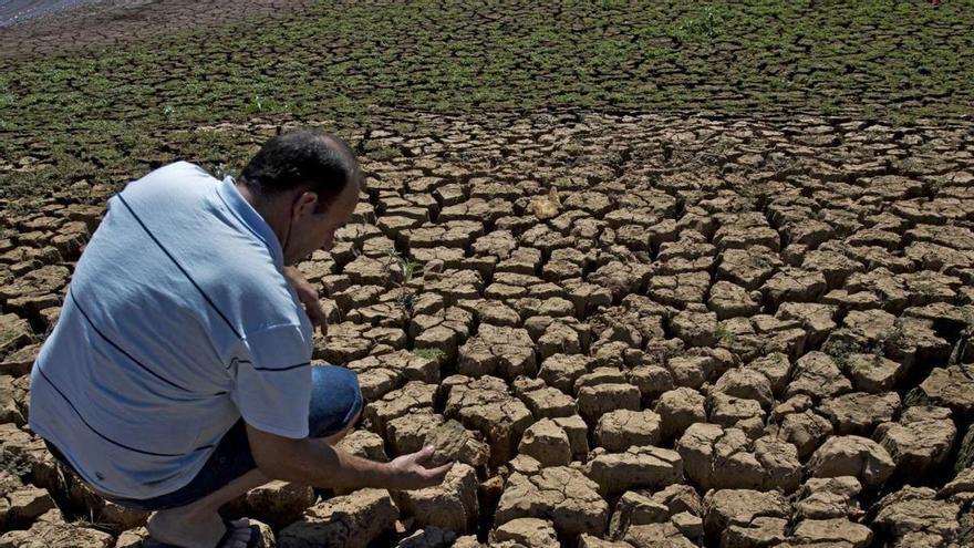 Los científicos confirman que El Niño ya está aquí