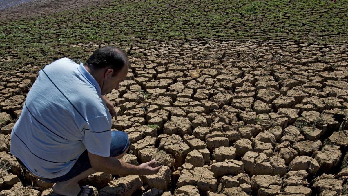 CAMBIO CLIMÁTICO | Los científicos confirman que El Niño ya está aquí y hay hasta un 63% de probabilidades de que adquiera una intensidad muy fuerte