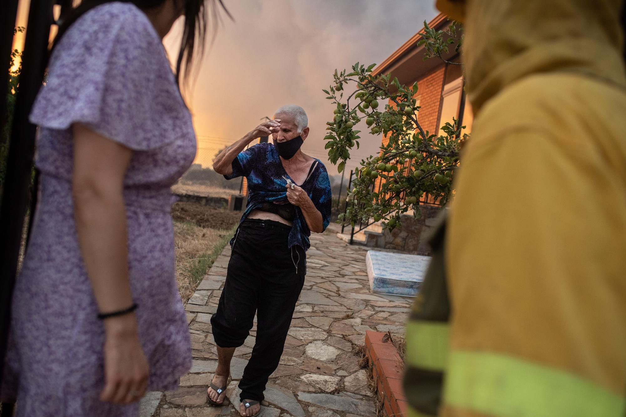 El feroz incendio de Losacio, en imágenes