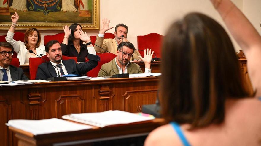 El PP deja solo a Vox en Elche en su intento de frenar la regularización de migrantes