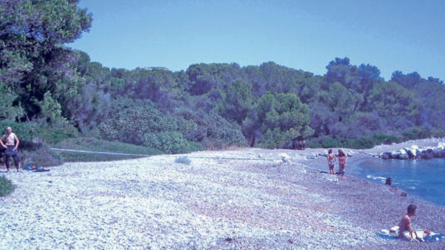 Varios buzos de la Guardia Civil, ayer en la playa de Alcanada (Alcúdia), donde buscaron alguna pista para identificar a la víctima.