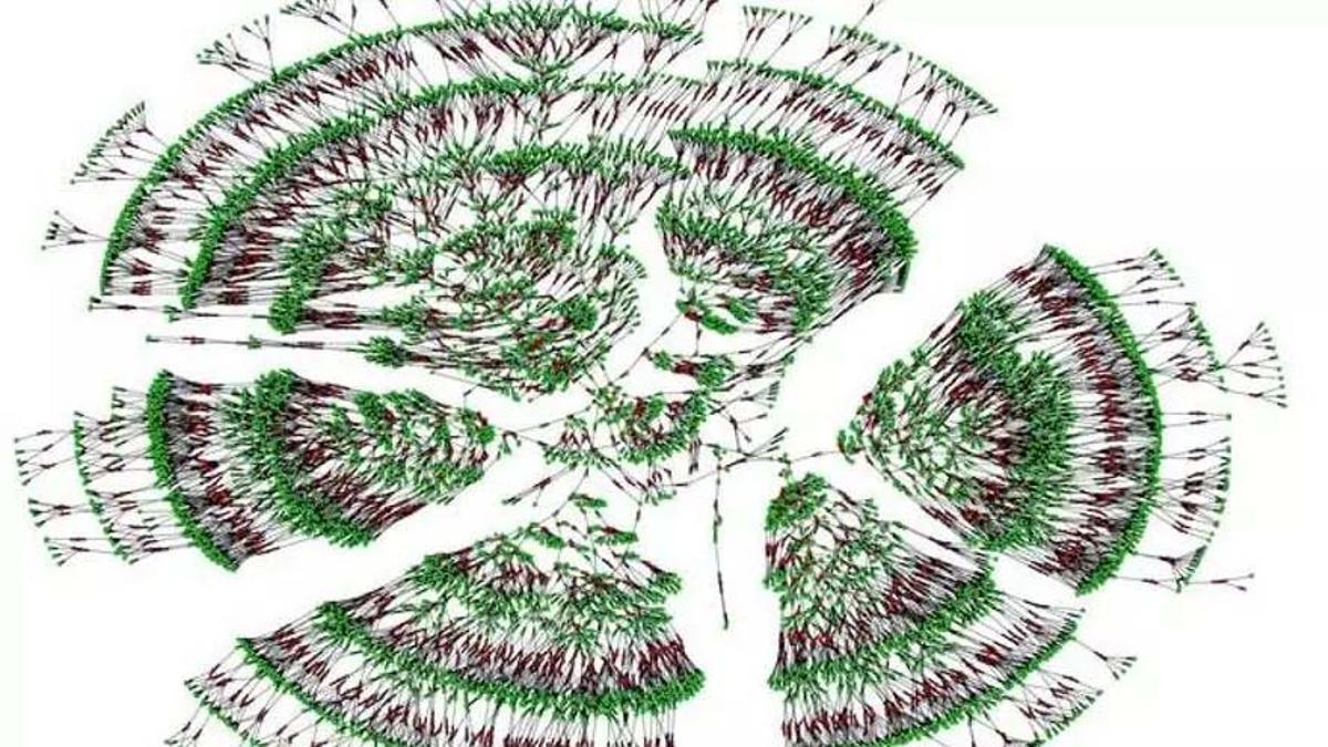 El árbol genealógico más grande del mundo.