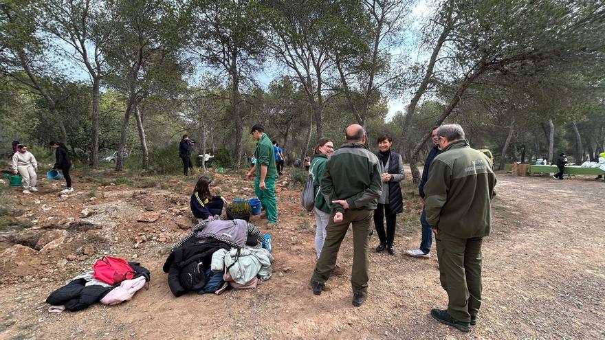 Los escolares de Segorbe reforestan la Esperanza en el Día del Árbol