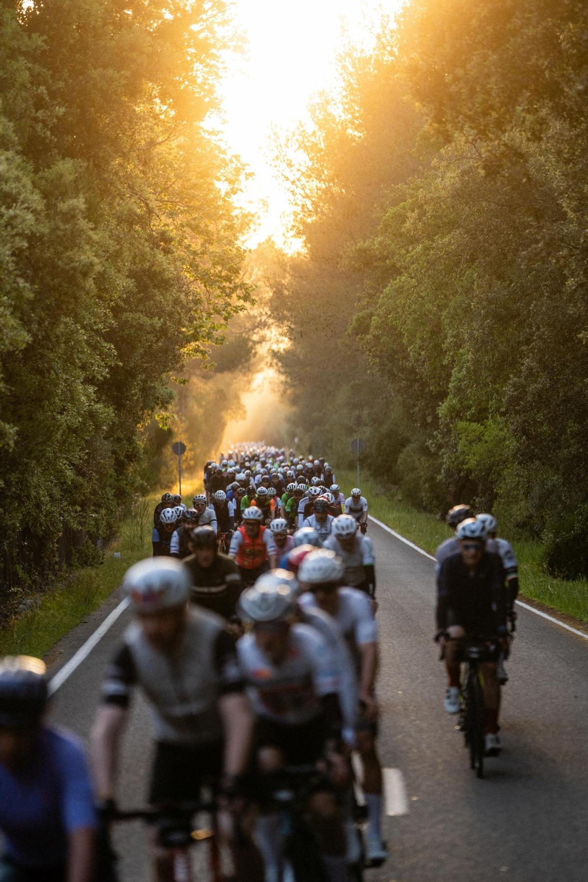 El pelotón de la Mallorca 312 OK Mobility llena de color las carreteras de la isla