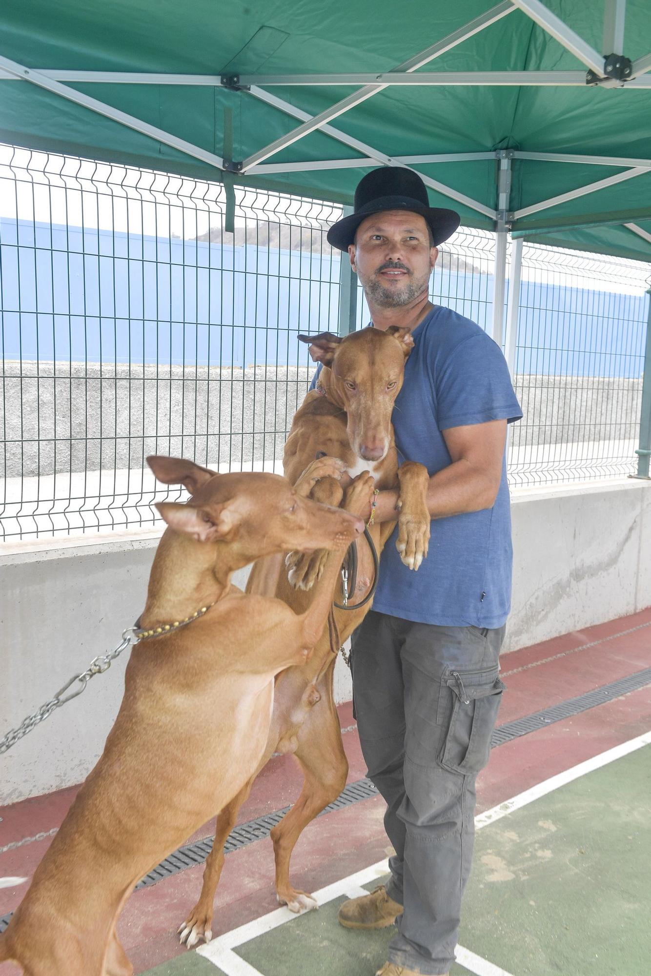 Feria de Ganado en Arucas