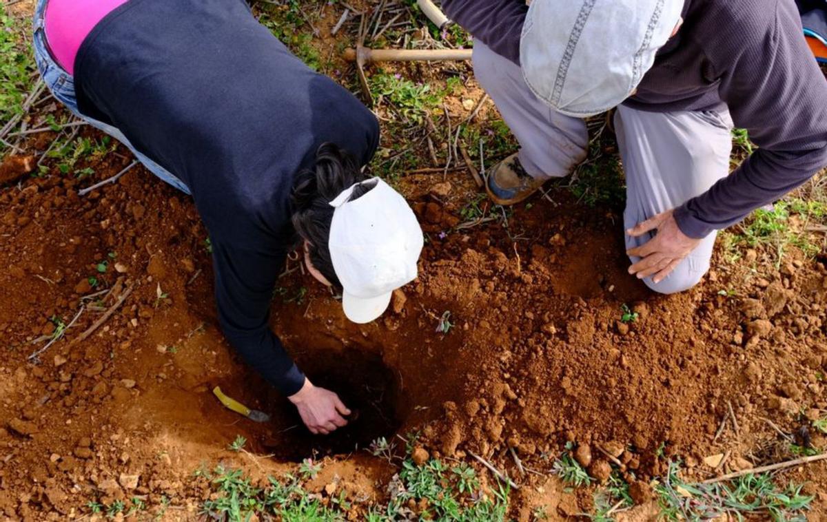 La importancia de la agricultura regenerativa |